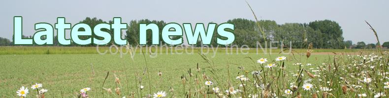 Latest news