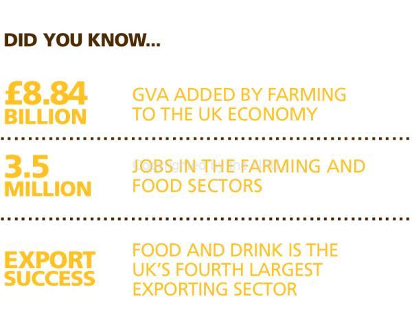 Did you know... economy