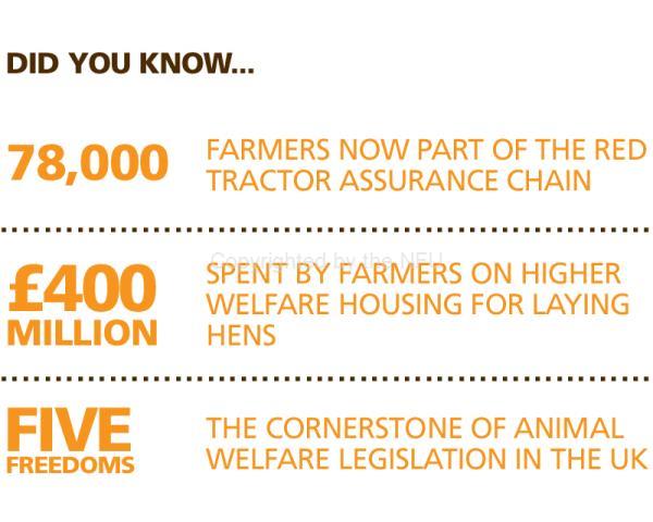 Stats - animal welfare