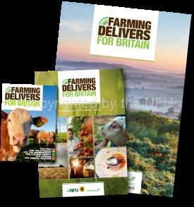Download our resources here