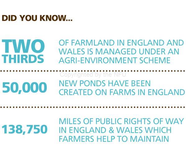 Did you know... environment