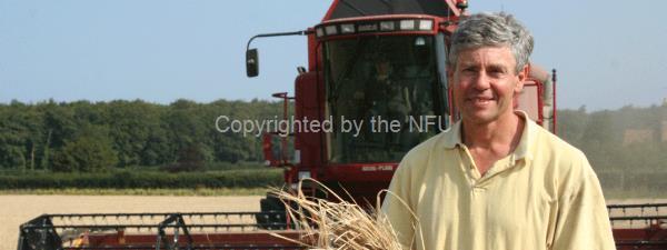 Norfolk barley farmer Teddy Maufe. East Anglian farmers grow enough malting barley to deliver 3.3 billion pints of beer a year.