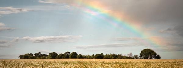 Farming Delivers for the Economy
