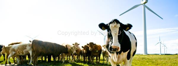 Farming Delivers for Cleaner Energy