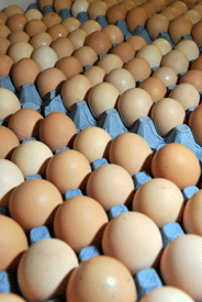 Uk Eggs
