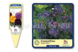home grown on labels - medium