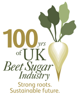 BS logo 100 years