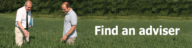 Find an adviser