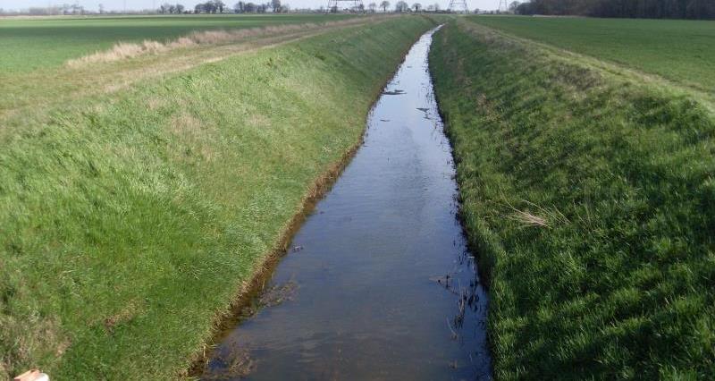 Drainage ditch_26182