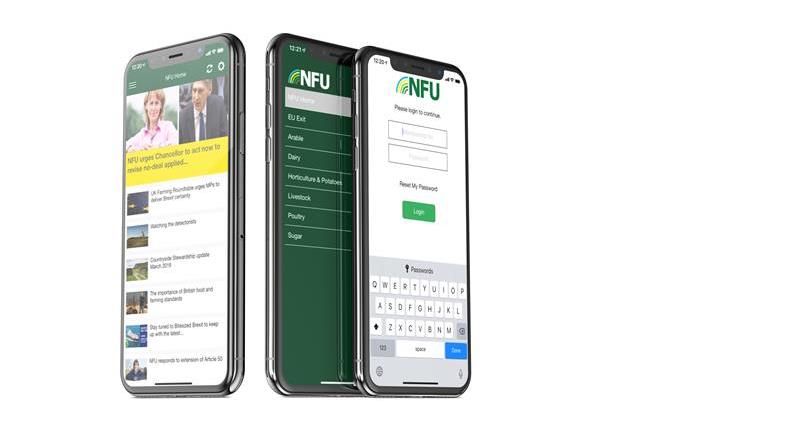 NFU App clean with room for text_63326