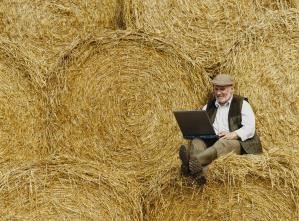Farmer with laptop on straw bales_300_221