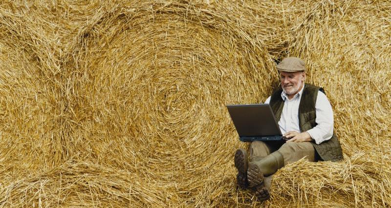 An image of a man sat on hay bales with a laptop