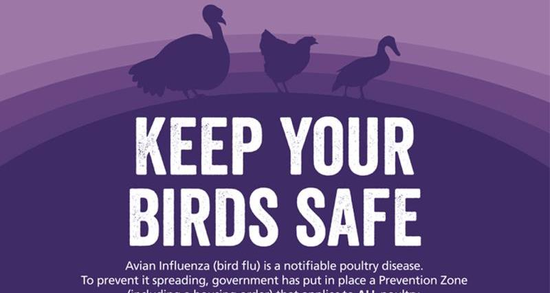 Avian Influenza infographic January 2016_40242