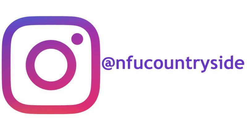 CountrysideOnline Instagram logo