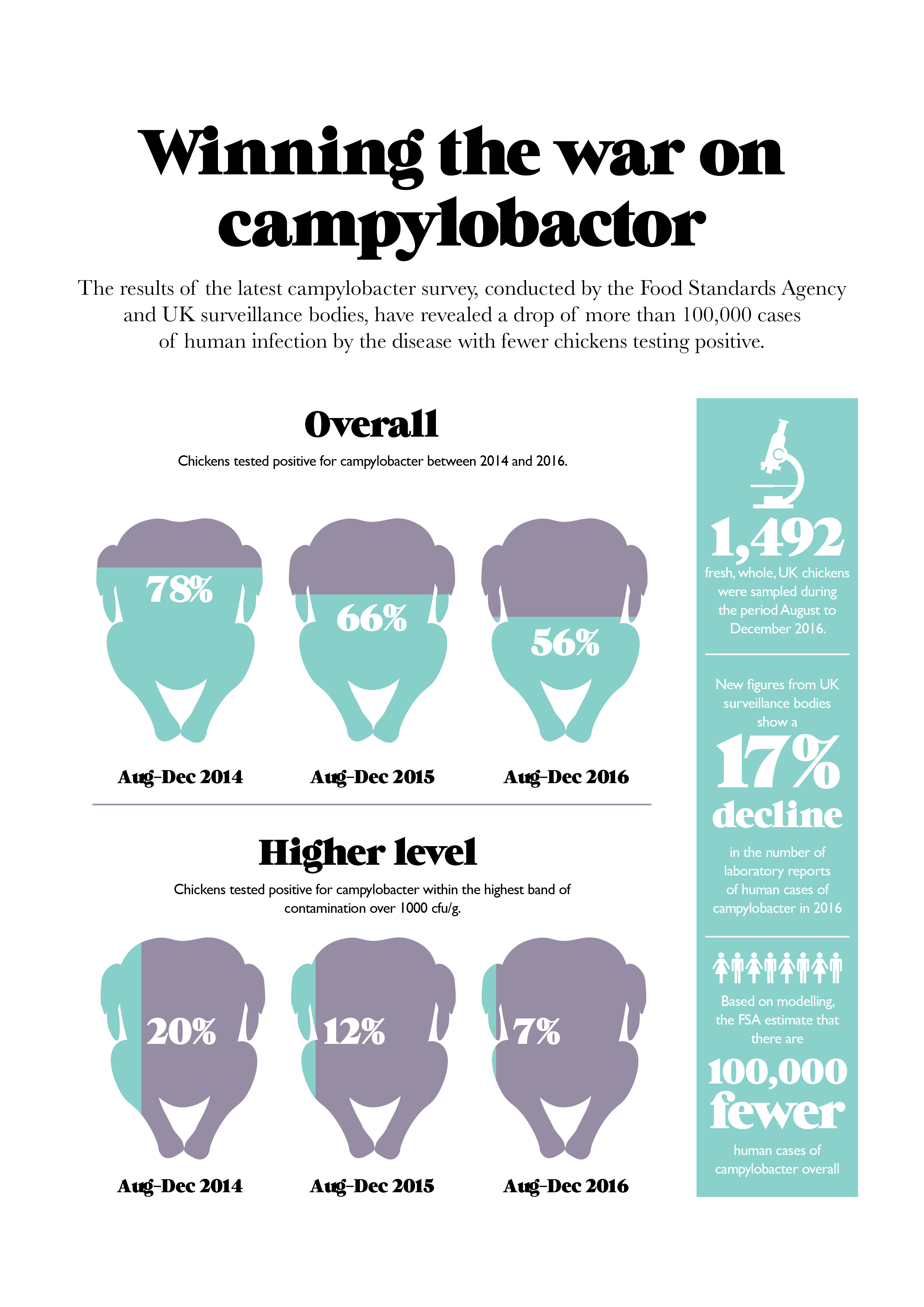 Campylobactor infographic