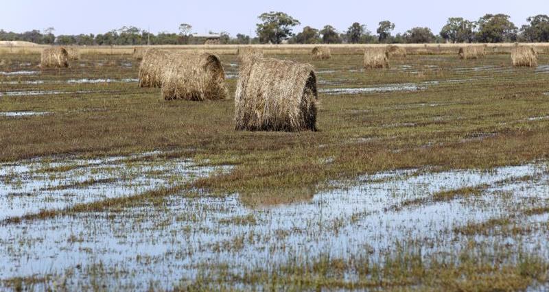 Flooded field