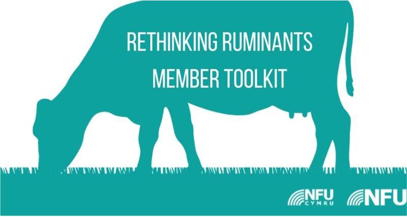 Rethinking Ruminants_72216