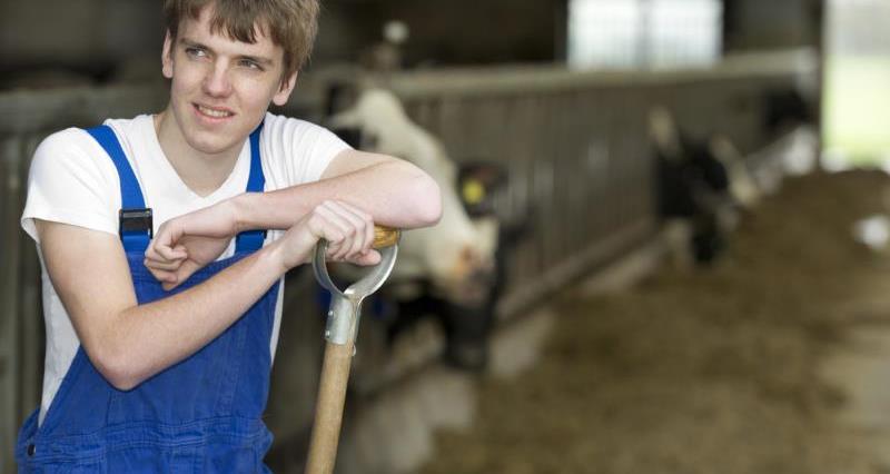 Young dairy farmer_12266