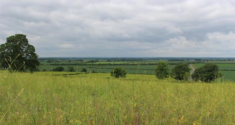 Lincolnshire field