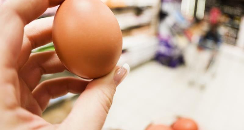 Shopper inspecting an egg_11053