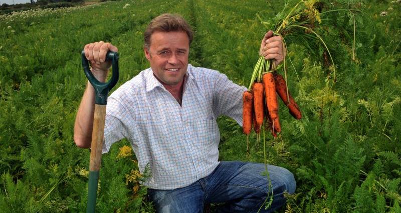 Guy Poskitt, a carrot grower, holding a handful of freshly harvested carrots.