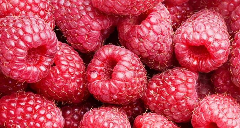 raspberries _6523
