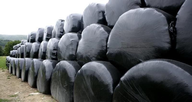 Wrapped bale silage on a farm in West Midlands.