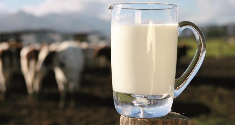 jug of milk_10972
