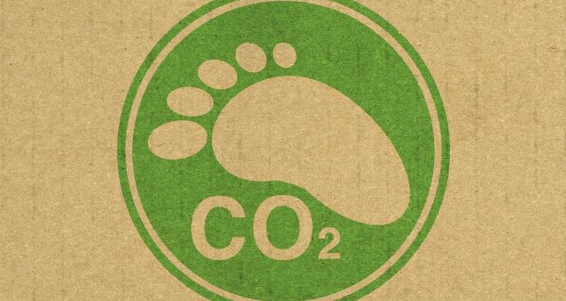 An image of a green logo containing a footprint and the symbol for carbon dioxide