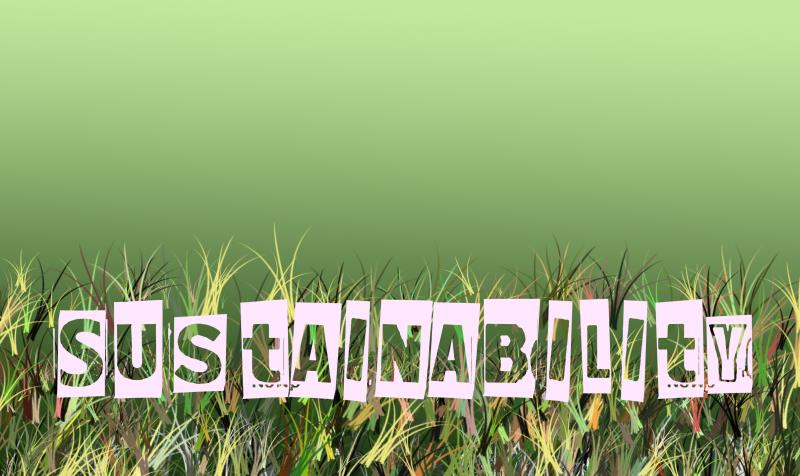 Sustainability_12656