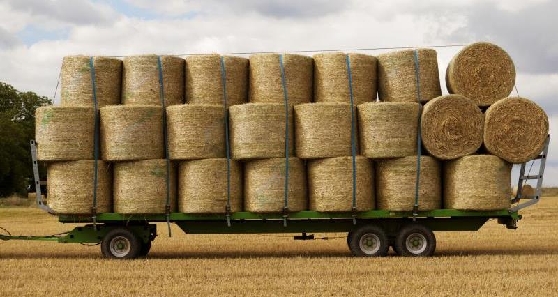 Trailer full of hay bales_16063