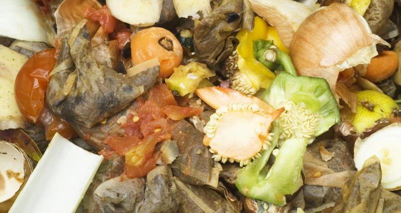 Defra consults on Improving reporting of food waste in England – NFUonline