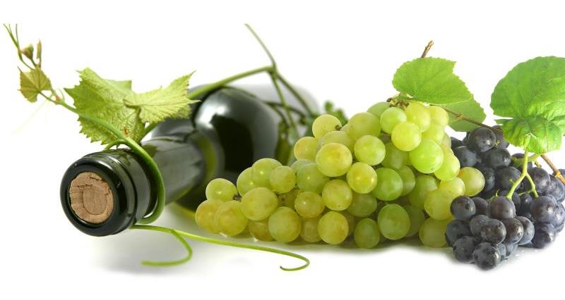wine bottle and grapes_10990