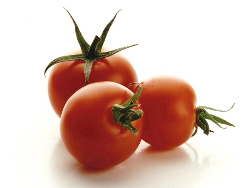 Tomatoes_6521
