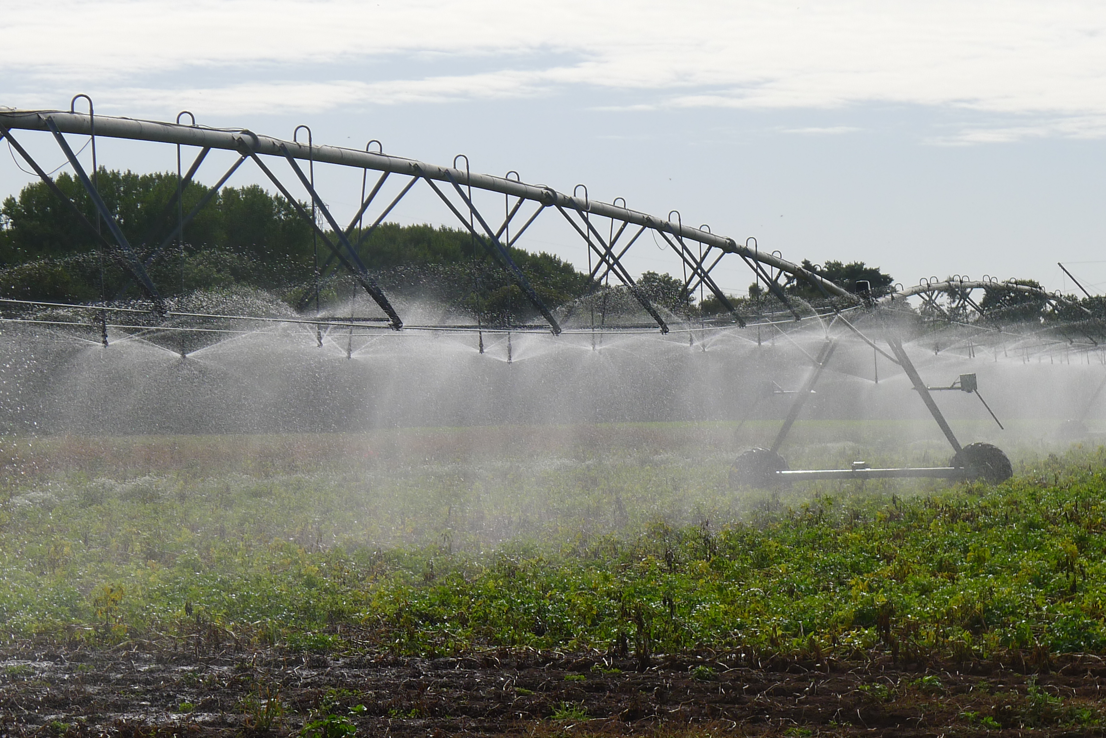 water drift irrigation