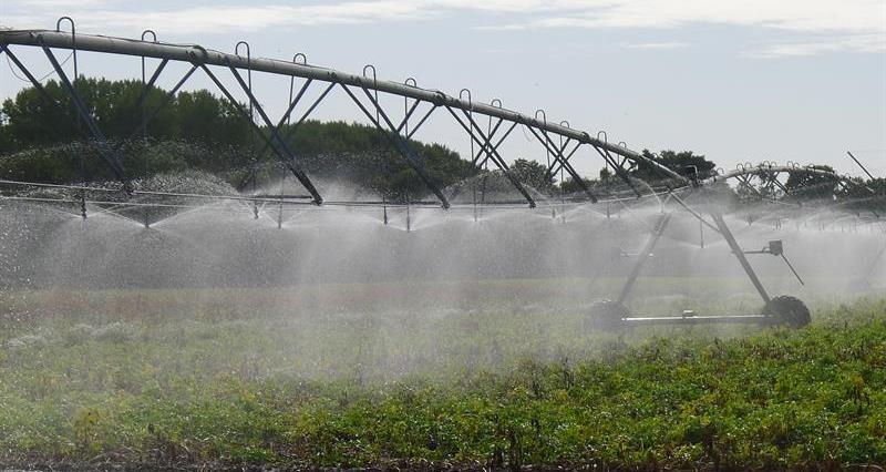 Crop irrigation - a strategic review of abstraction charges is under way.