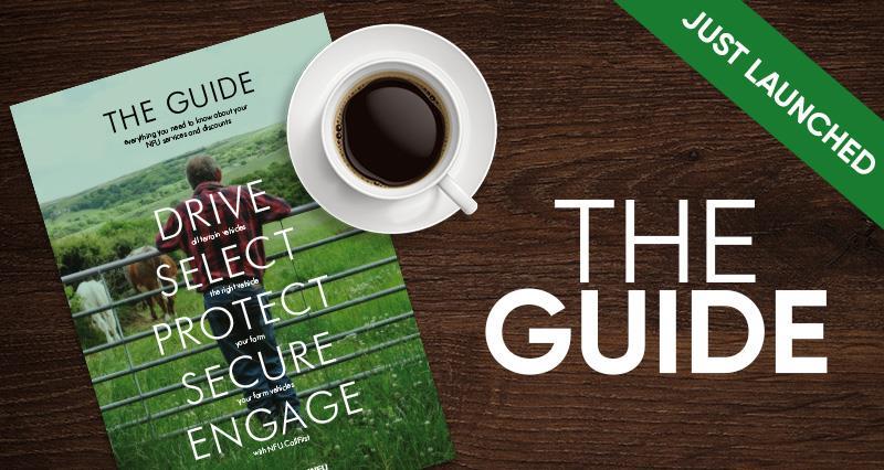 The Guide NFUonline_61652