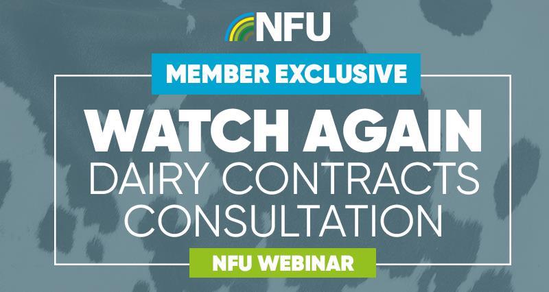 Watch again: dairy contracts_74264