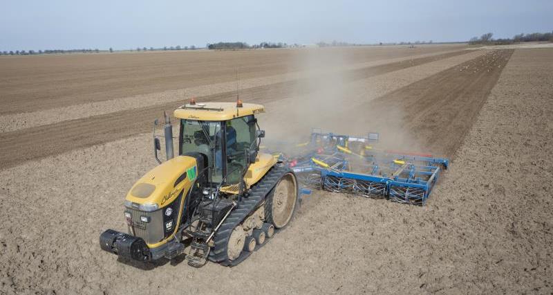 Sugar beet drilling on a farm