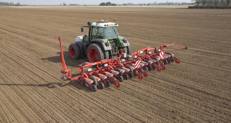 Sugar beet drilling