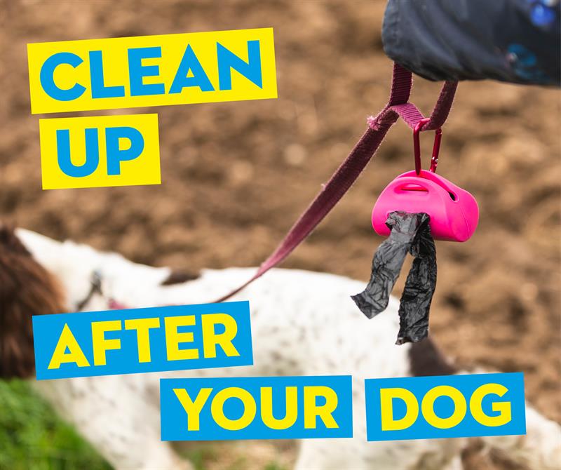 Clean up after your dog social media_65408