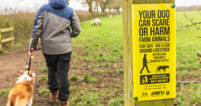 A man walking his dog in a field with an NFU gatepost sign in the foreground