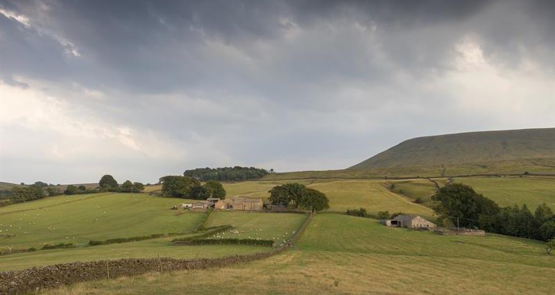 An uplands landscape