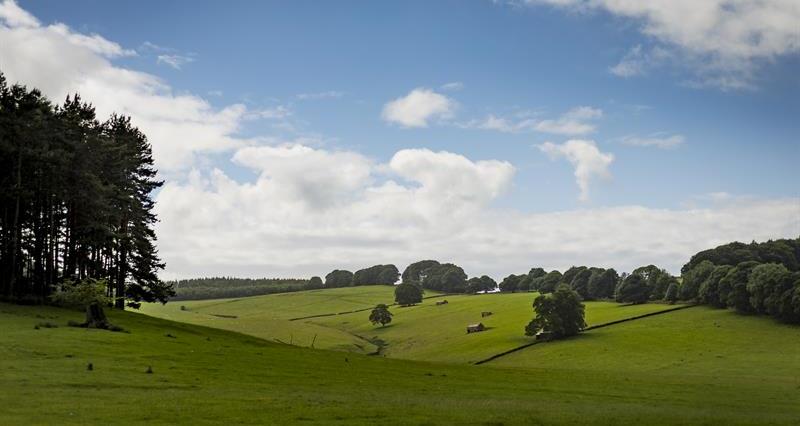 Derbyshire Landscape_63467