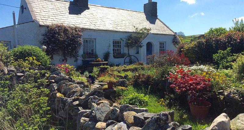 A cottage in Wales surrounded by flowers and hedges