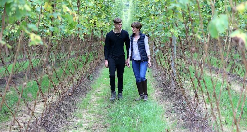 Two people walking through an orchard