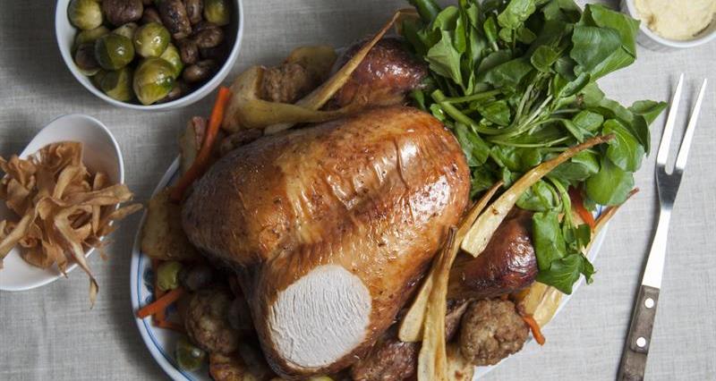 Christmas roast turkey_63554