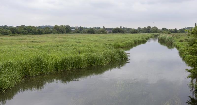 A watercourse running through a farm