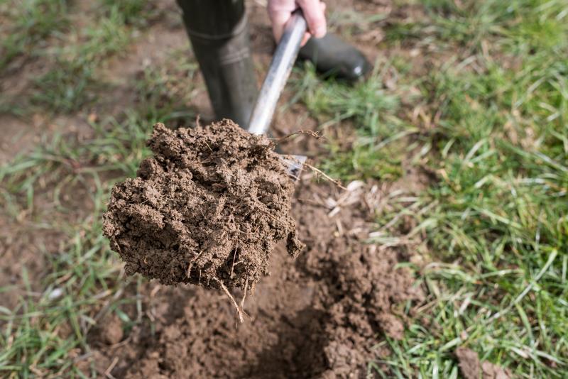 Digging soil_53297
