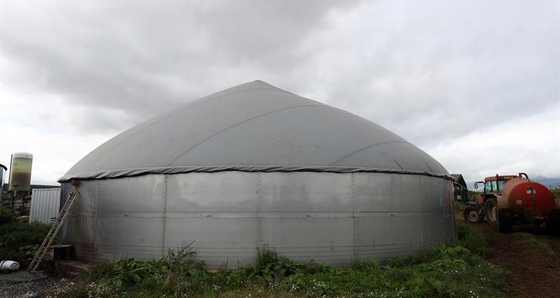Anaerobic Digestion 
